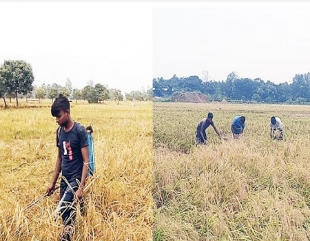 জোঁক নিধনে কৃষকের পাশে এসিআই মটরস 